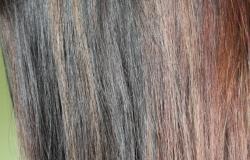 Смывка для волос: отзывы, результаты Смывка цвета